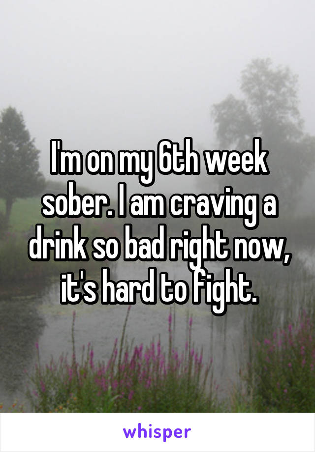 I'm on my 6th week sober. I am craving a drink so bad right now, it's hard to fight.