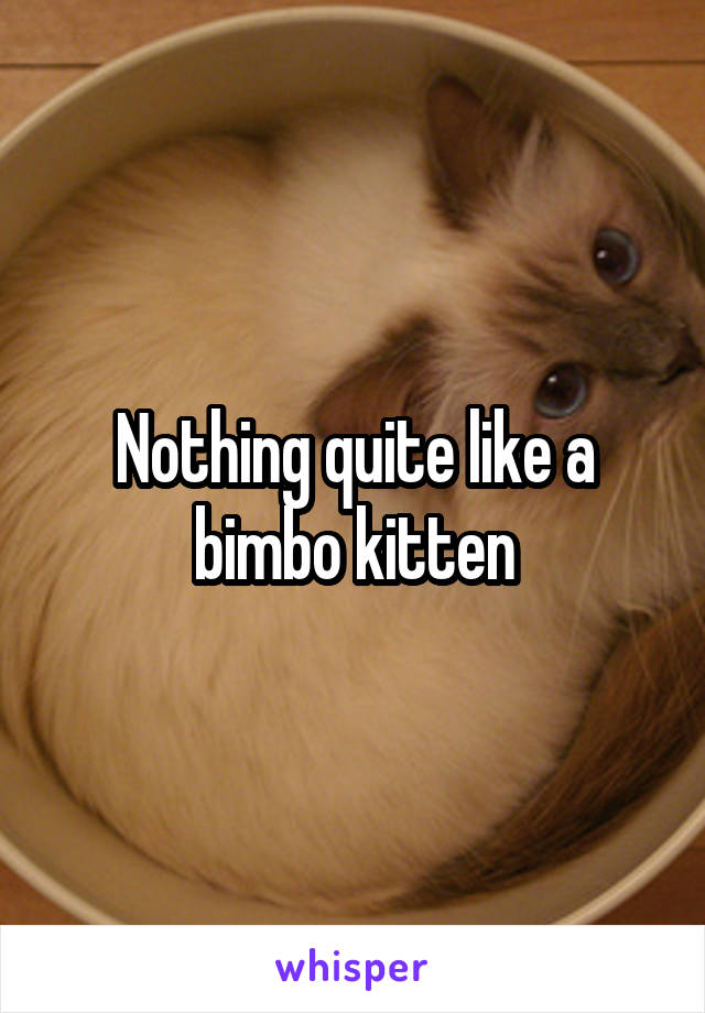 Nothing quite like a bimbo kitten