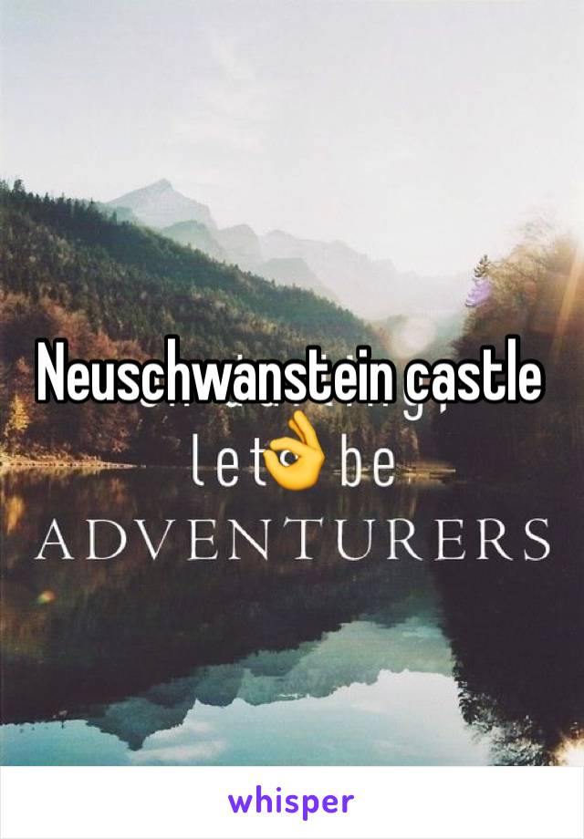 Neuschwanstein castle 👌