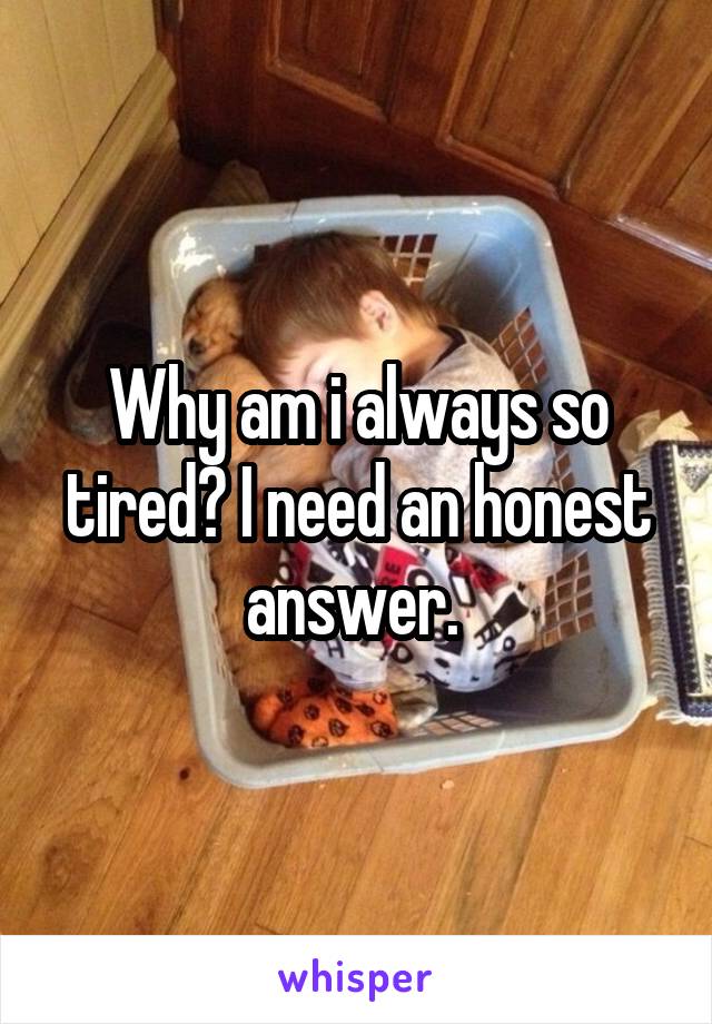 Why am i always so tired? I need an honest answer. 