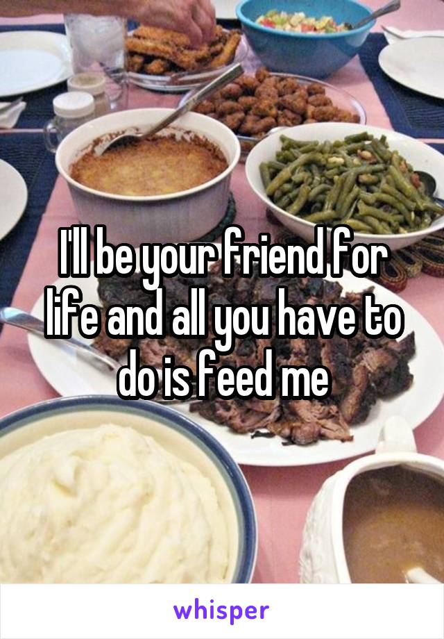 I'll be your friend for life and all you have to do is feed me