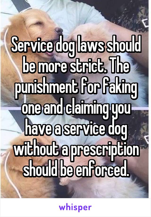 Service dog laws should be more strict. The punishment for faking one and claiming you have a service dog without a prescription should be enforced.