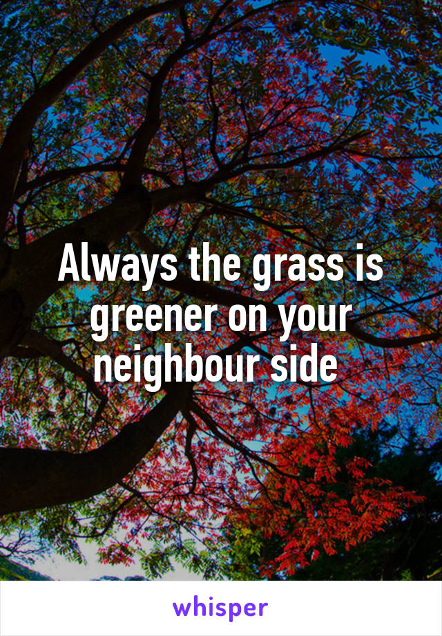 Always the grass is greener on your neighbour side 