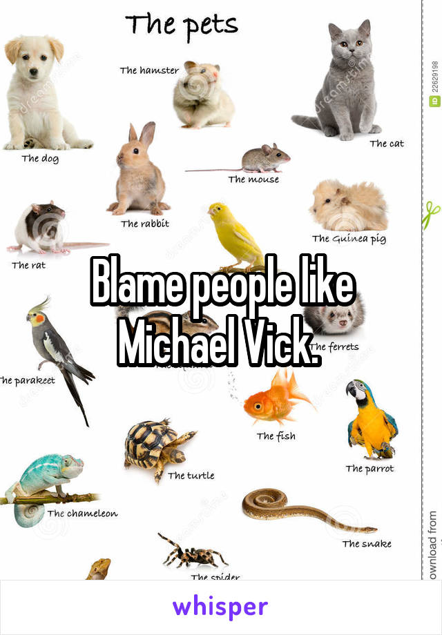 Blame people like Michael Vick. 