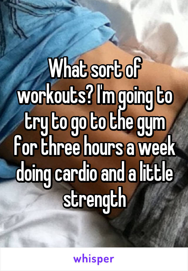What sort of workouts? I'm going to try to go to the gym for three hours a week doing cardio and a little strength