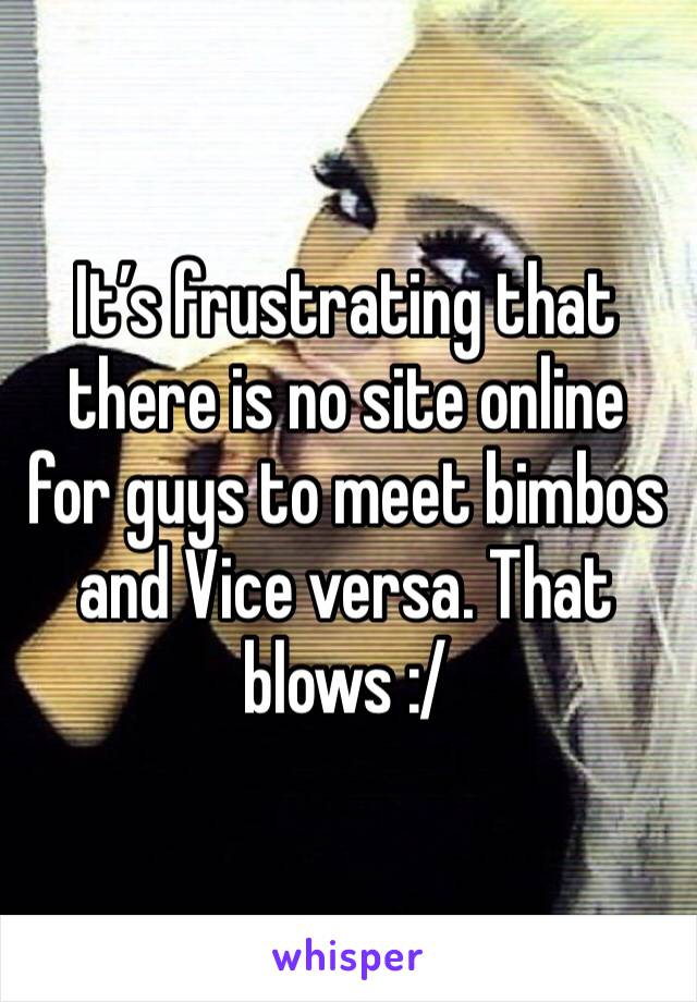 It’s frustrating that there is no site online for guys to meet bimbos and Vice versa. That blows :/ 
