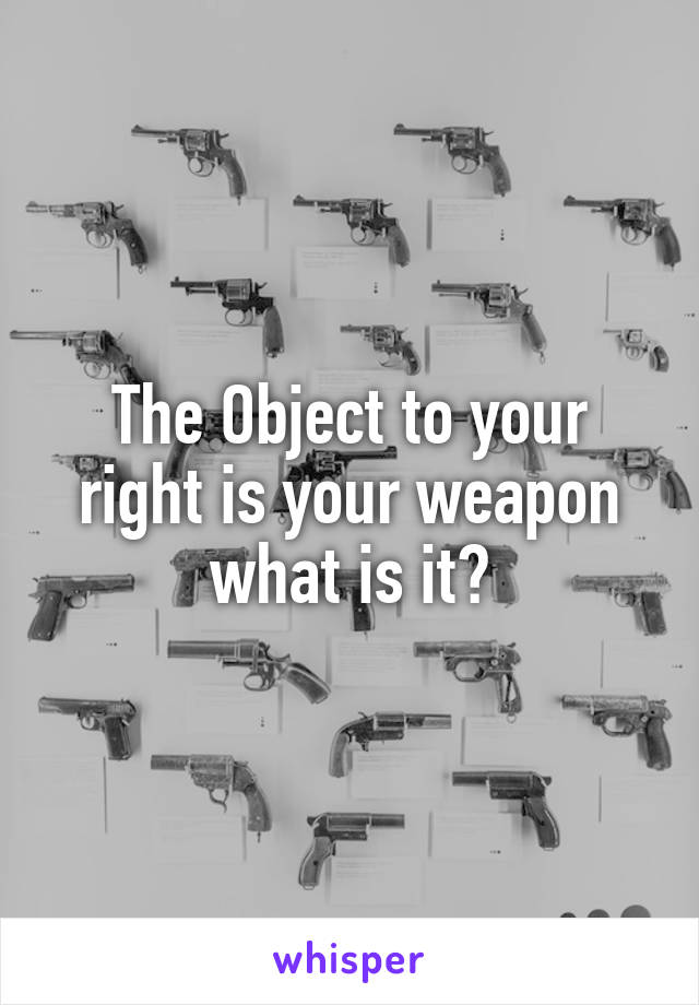 The Object to your right is your weapon what is it?