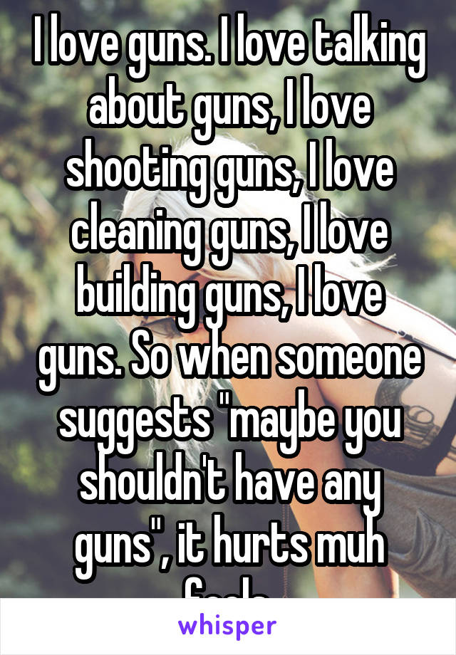 I love guns. I love talking about guns, I love shooting guns, I love cleaning guns, I love building guns, I love guns. So when someone suggests "maybe you shouldn't have any guns", it hurts muh feels.
