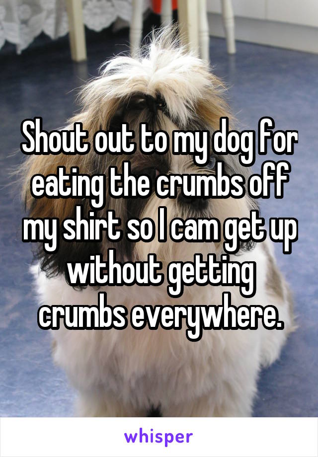 Shout out to my dog for eating the crumbs off my shirt so I cam get up without getting crumbs everywhere.