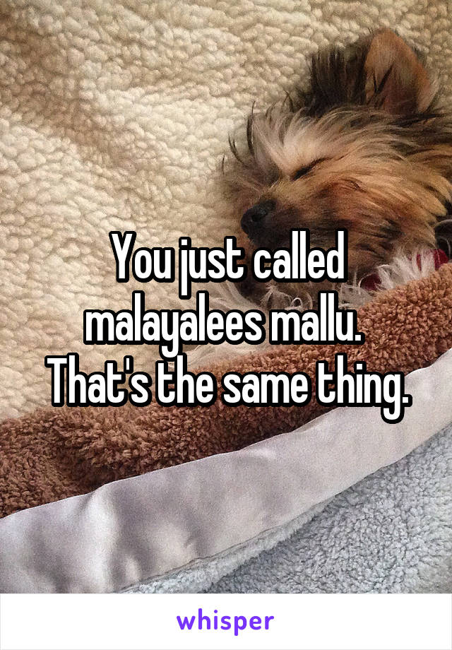 You just called malayalees mallu. 
That's the same thing.
