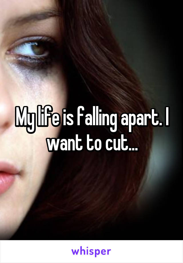 My life is falling apart. I want to cut...