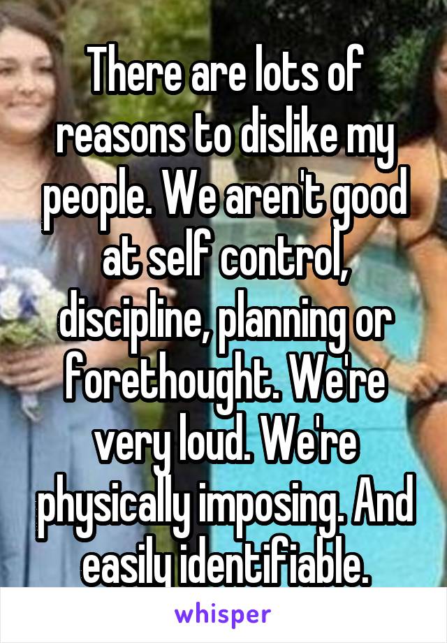 There are lots of reasons to dislike my people. We aren't good at self control, discipline, planning or forethought. We're very loud. We're physically imposing. And easily identifiable.