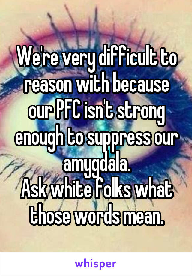 We're very difficult to reason with because our PFC isn't strong enough to suppress our amygdala.
Ask white folks what those words mean.