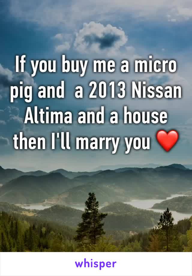If you buy me a micro pig and  a 2013 Nissan Altima and a house then I'll marry you ❤️