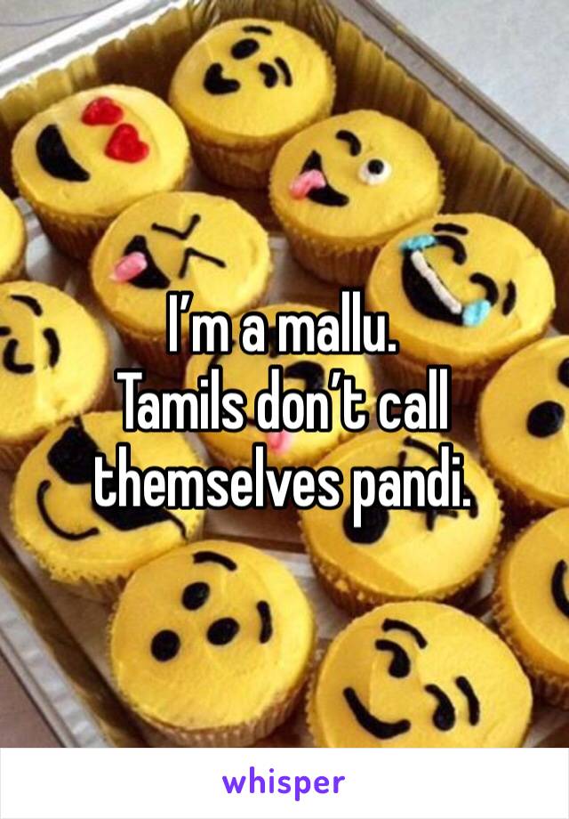 I’m a mallu.
Tamils don’t call themselves pandi.