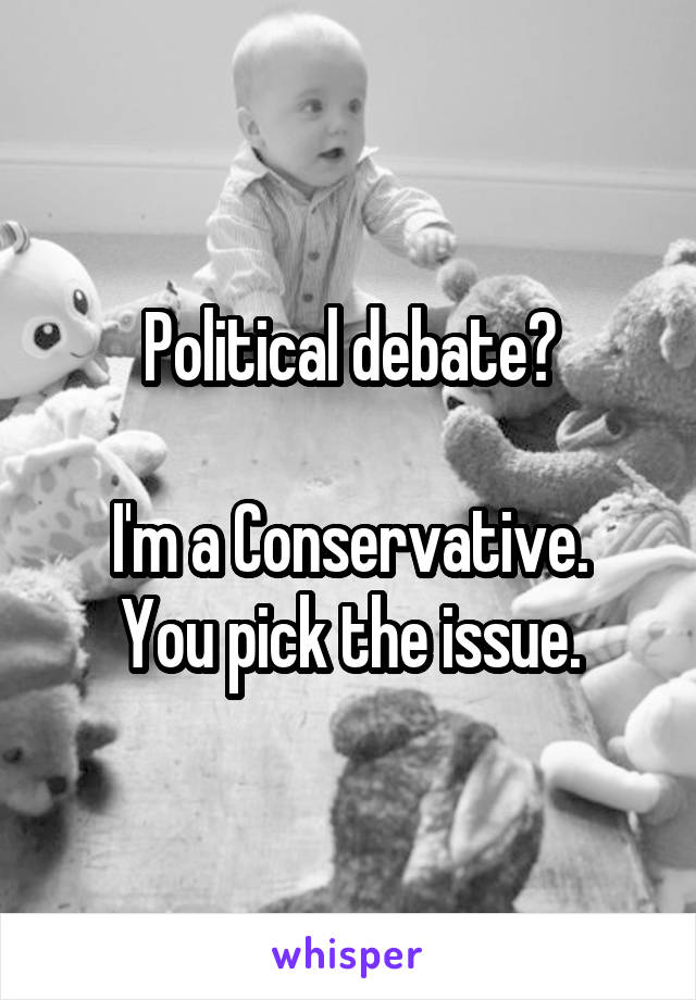 Political debate?

I'm a Conservative. You pick the issue.