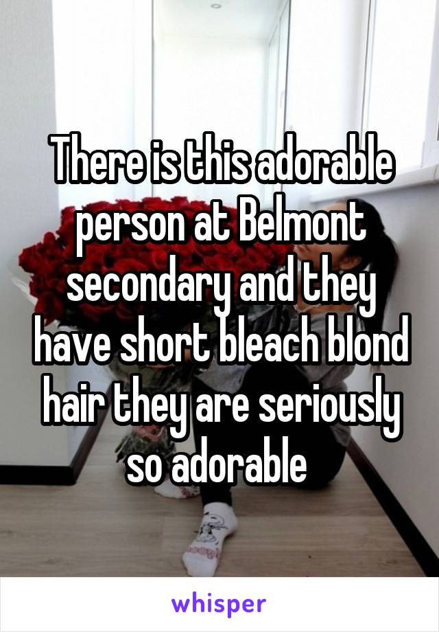 There is this adorable person at Belmont secondary and they have short bleach blond hair they are seriously so adorable 