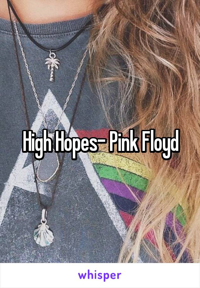 High Hopes- Pink Floyd