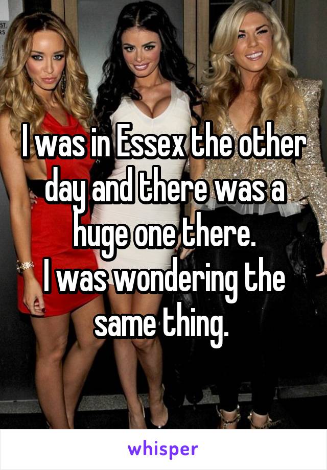 I was in Essex the other day and there was a huge one there.
I was wondering the same thing. 