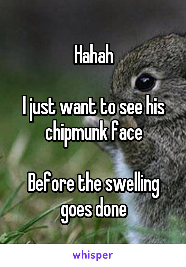 Hahah

I just want to see his chipmunk face

Before the swelling goes done
