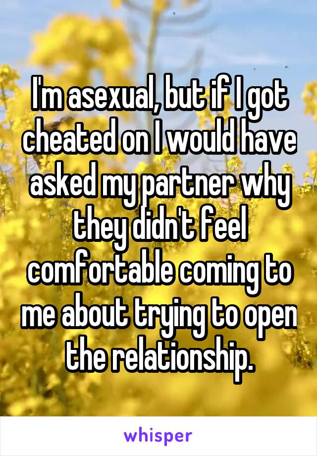 I'm asexual, but if I got cheated on I would have asked my partner why they didn't feel comfortable coming to me about trying to open the relationship.