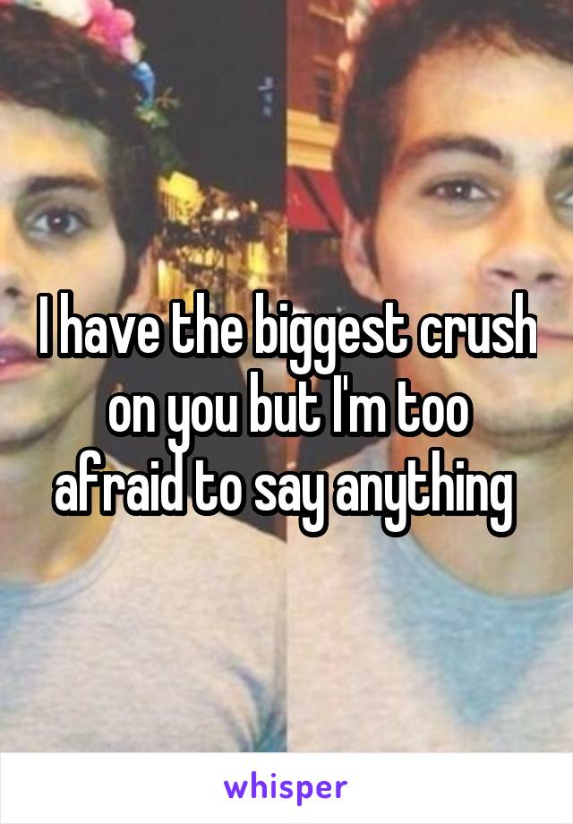 I have the biggest crush on you but I'm too afraid to say anything 