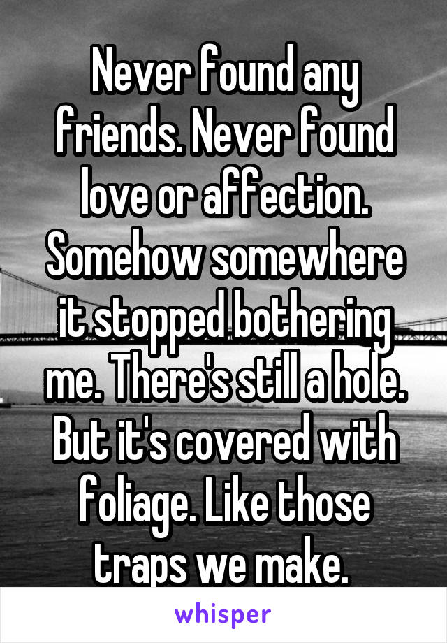 Never found any friends. Never found love or affection. Somehow somewhere it stopped bothering me. There's still a hole. But it's covered with foliage. Like those traps we make. 