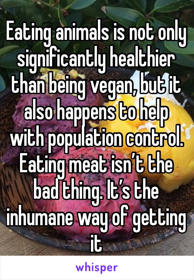 Eating animals is not only significantly healthier than being vegan, but it also happens to help with population control. Eating meat isn’t the bad thing. It’s the inhumane way of getting it 