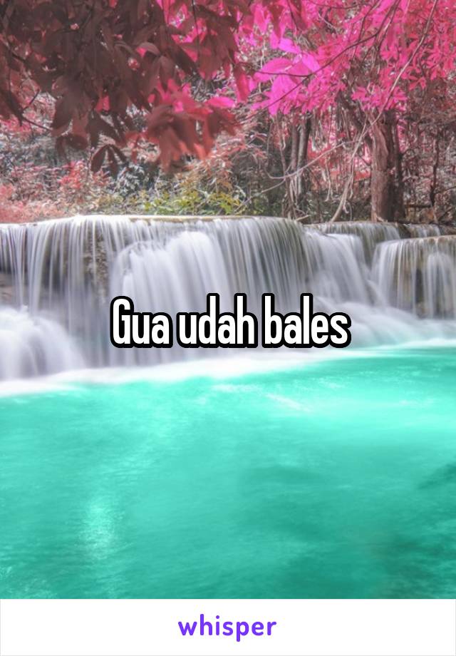 Gua udah bales