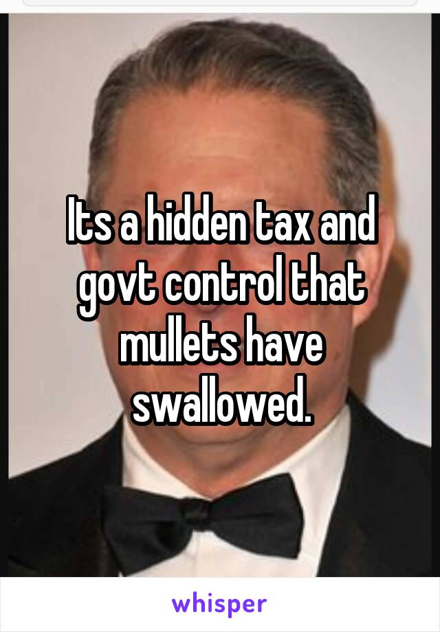 Its a hidden tax and govt control that mullets have swallowed.