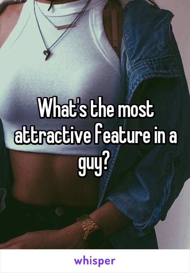 What's the most attractive feature in a guy? 