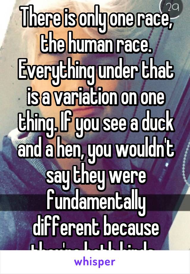 There is only one race, the human race. Everything under that is a variation on one thing. If you see a duck and a hen, you wouldn't say they were fundamentally different because they're both birds. 