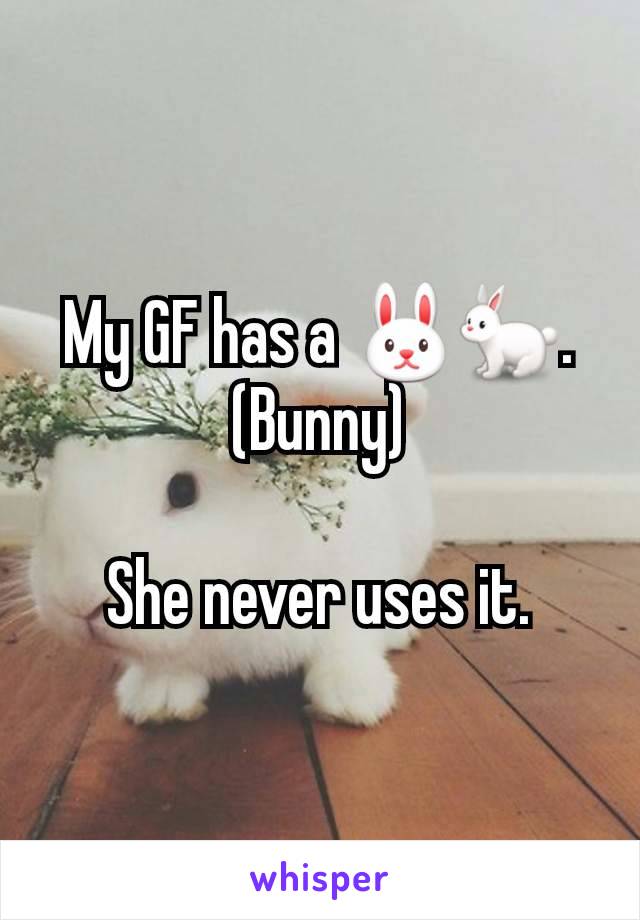 My GF has a 🐰🐇.
(Bunny)

She never uses it.