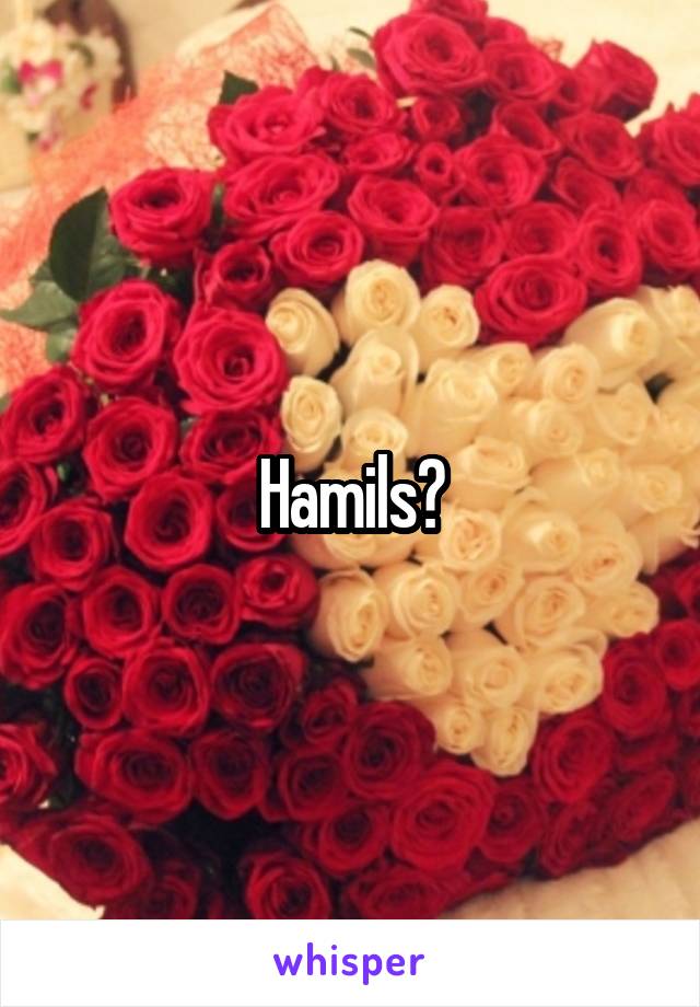 Hamils?