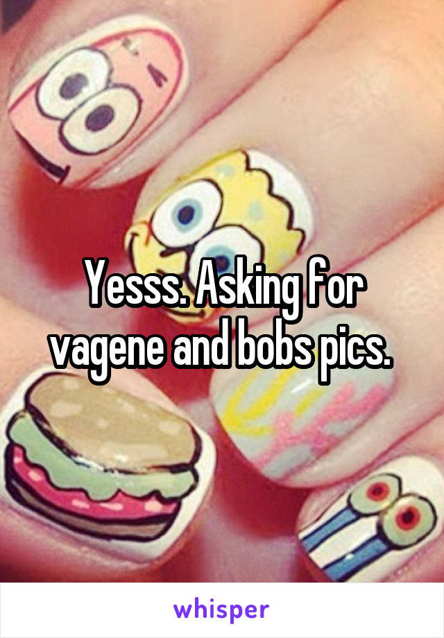 Yesss. Asking for vagene and bobs pics. 