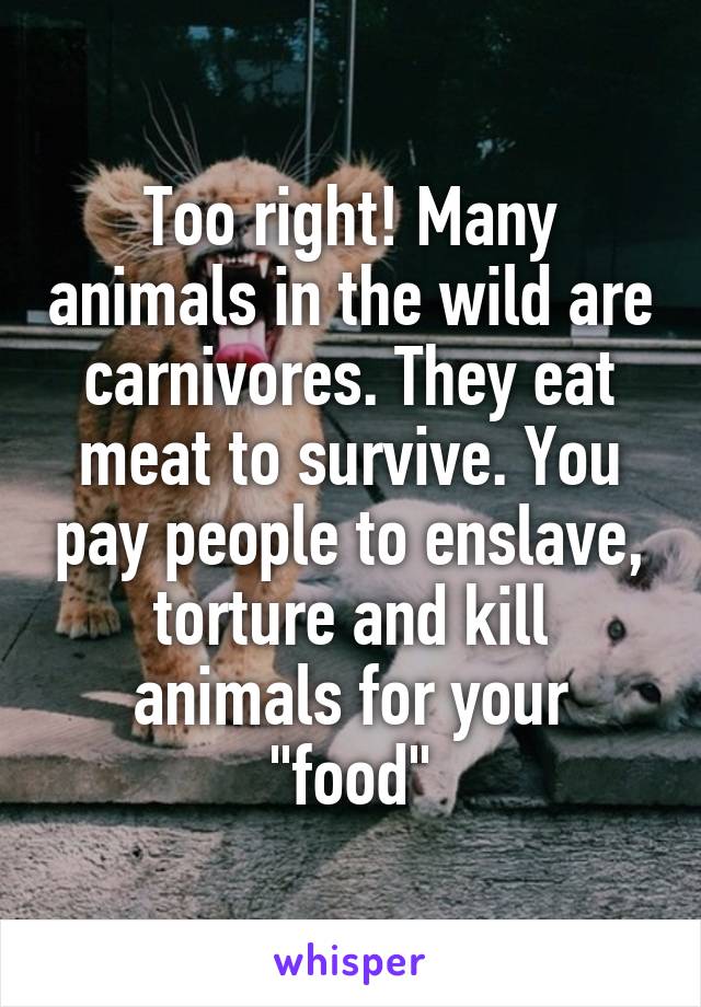 Too right! Many animals in the wild are carnivores. They eat meat to survive. You pay people to enslave, torture and kill animals for your "food"