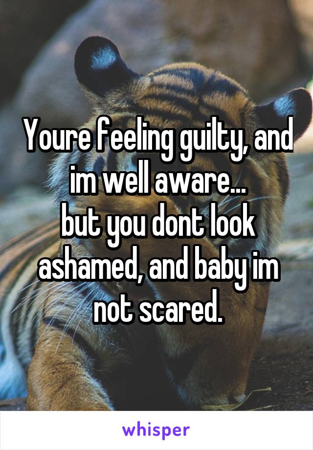 Youre feeling guilty, and im well aware...
but you dont look ashamed, and baby im not scared.