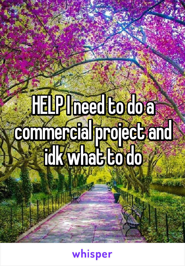 HELP I need to do a commercial project and idk what to do