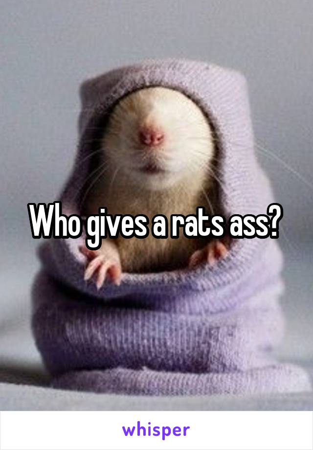 Who gives a rats ass? 