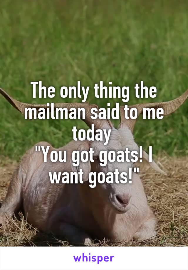 The only thing the mailman said to me today 
"You got goats! I want goats!"