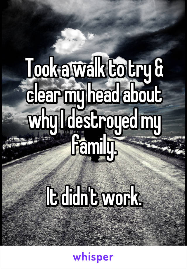 Took a walk to try & clear my head about why I destroyed my family.

It didn't work.