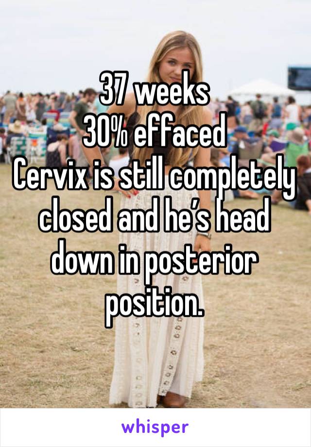 37 weeks
30% effaced 
Cervix is still completely  closed and he’s head down in posterior position. 