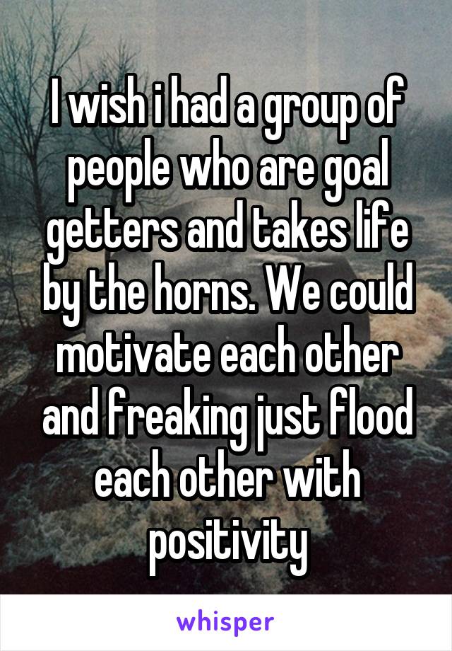 I wish i had a group of people who are goal getters and takes life by the horns. We could motivate each other and freaking just flood each other with positivity