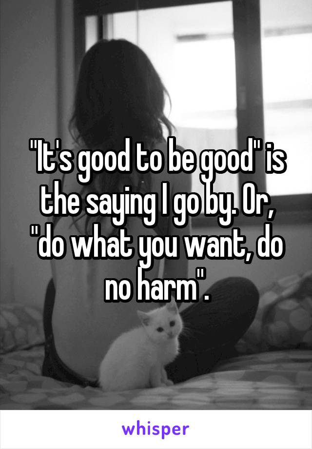 "It's good to be good" is the saying I go by. Or, "do what you want, do no harm".