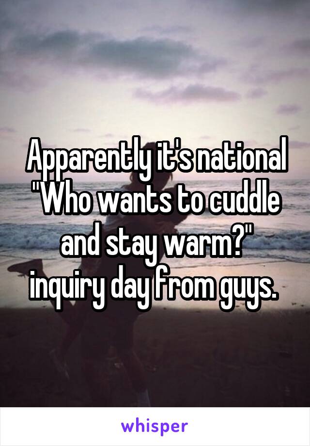 Apparently it's national "Who wants to cuddle and stay warm?" inquiry day from guys. 