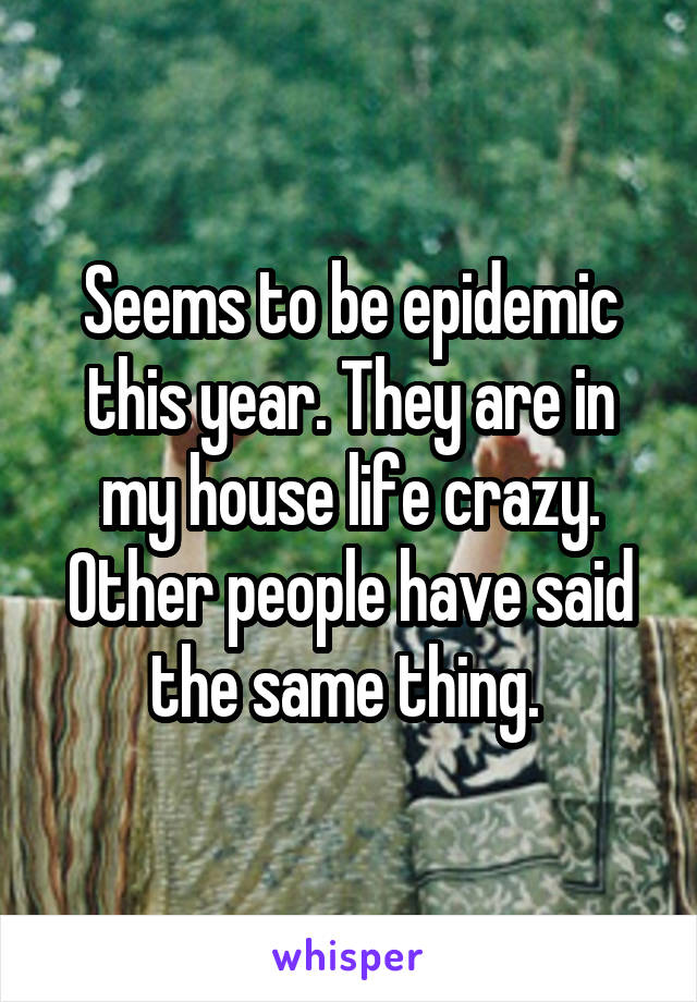 Seems to be epidemic this year. They are in my house life crazy. Other people have said the same thing. 