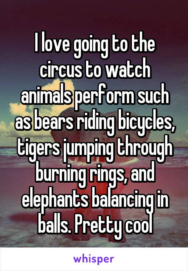 I love going to the circus to watch animals perform such as bears riding bicycles, tigers jumping through burning rings, and elephants balancing in balls. Pretty cool