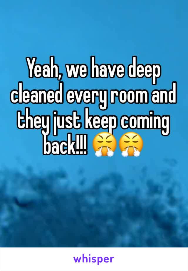 Yeah, we have deep cleaned every room and they just keep coming back!!! 😤😤