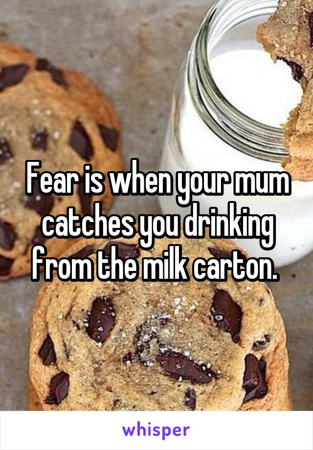 Fear is when your mum catches you drinking from the milk carton. 
