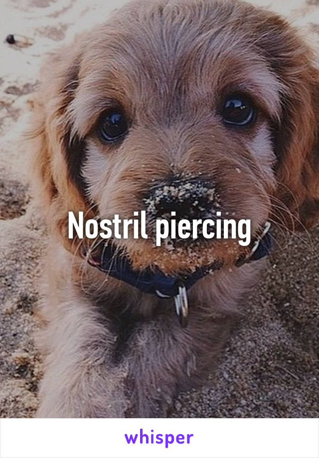 Nostril piercing